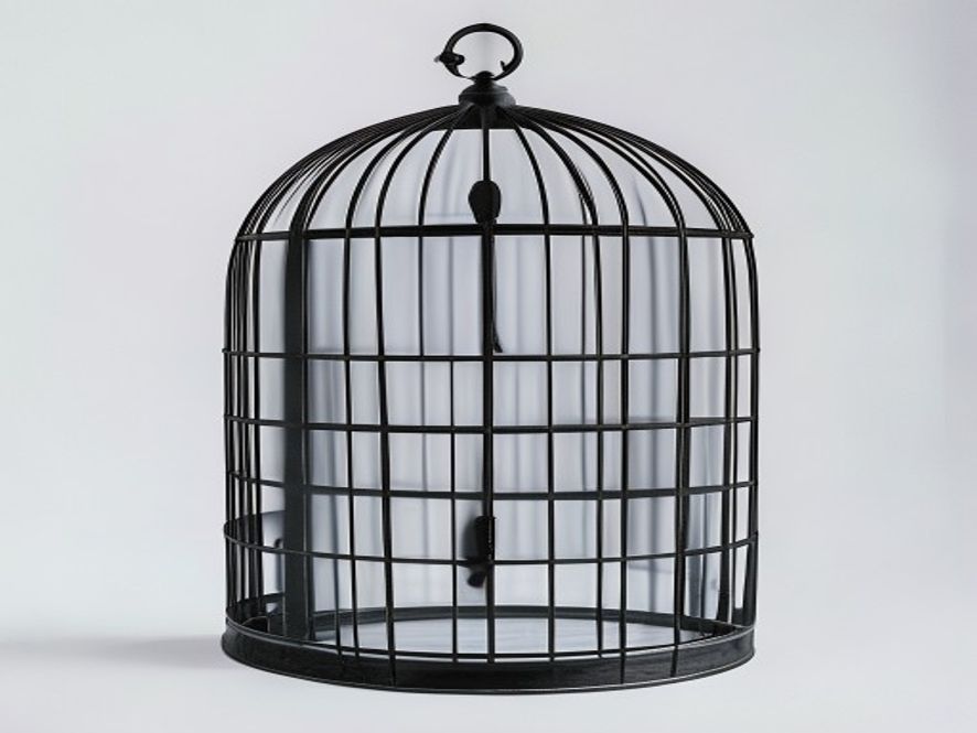 Large Flight Cage